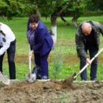 В КГМТУ руководство города принимает участие в высадке деревьев на Аллее якорей