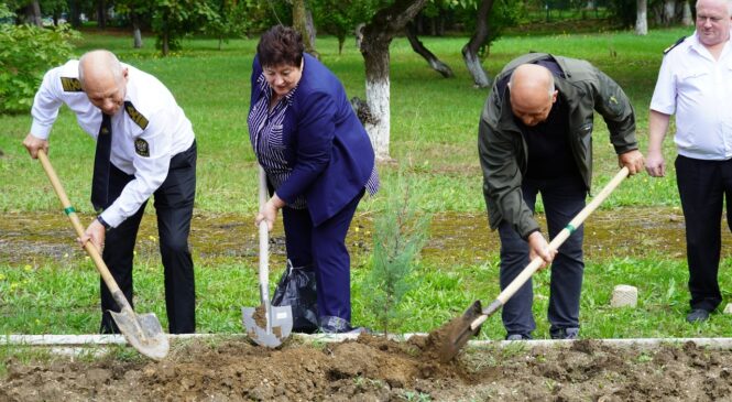 В КГМТУ руководство города принимает участие в высадке деревьев на Аллее якорей