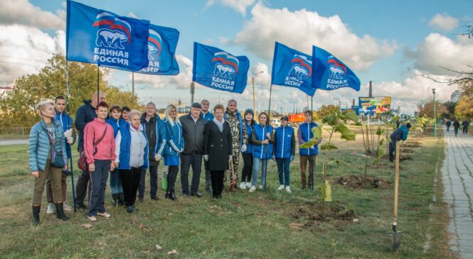 В Керчи высадили новую аллею в рамках проекта «Чистый Крым»